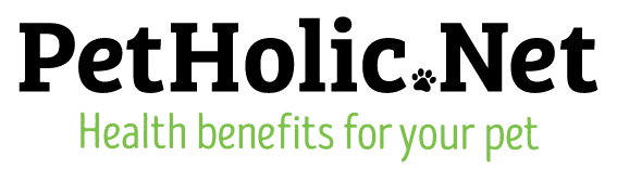 PetHolic.Net yhteystiedot ja yritysesittely